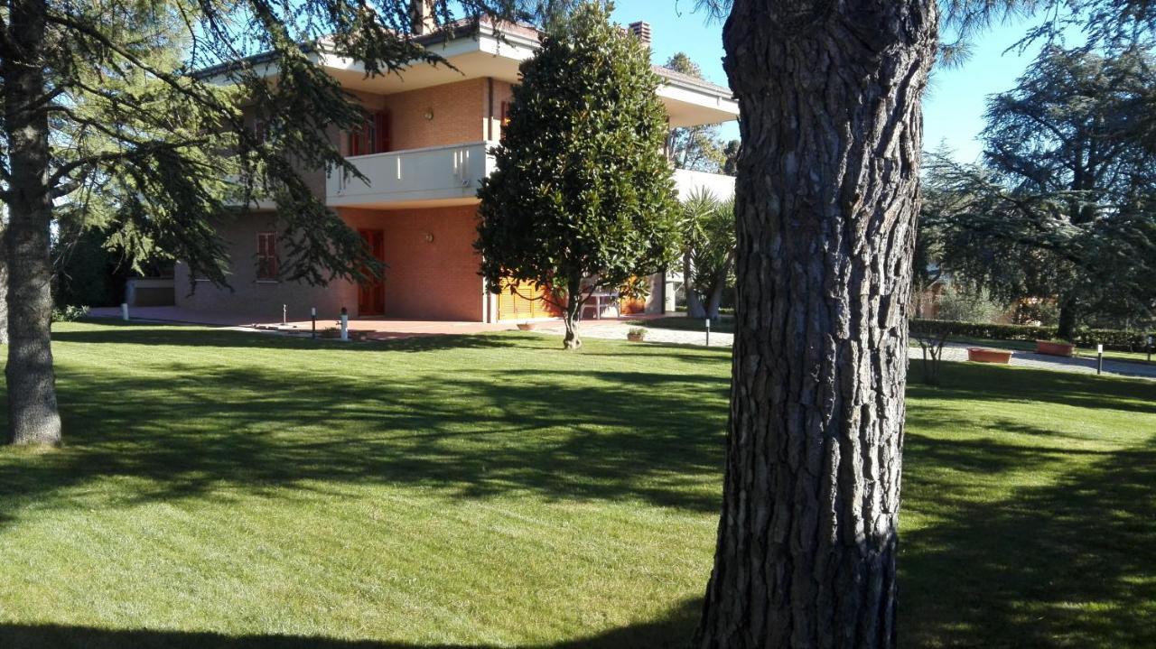 شقة Country House Bike Friendly Famiglia Belleggia Porto SantʼElpidio المظهر الخارجي الصورة